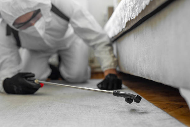 Professional Termite Control technician working in Crosby, MN