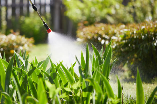 24/7 Emergency Termite Control experts in Crosby, MN